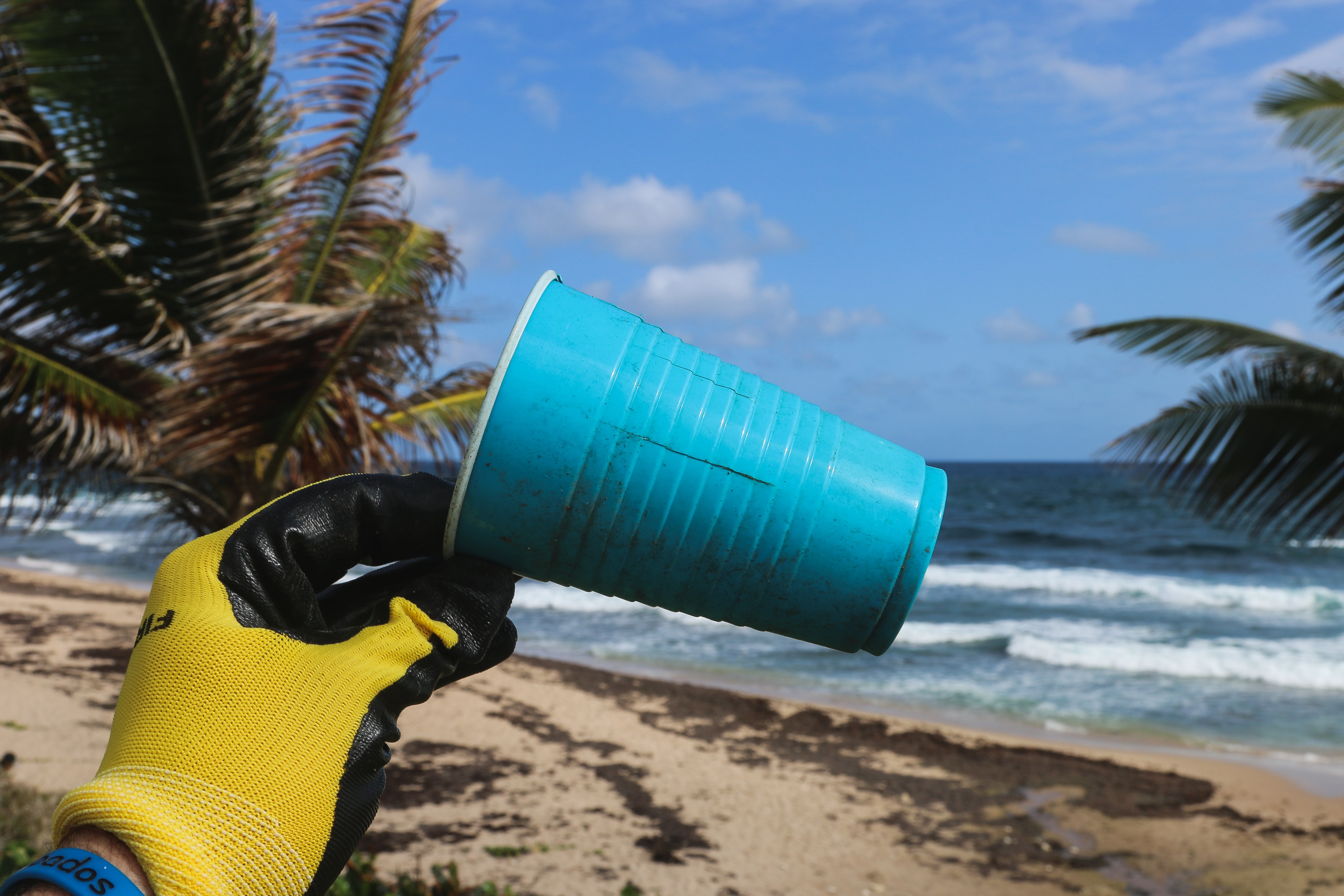  Person holding a littered plastic cup near the ocean bay